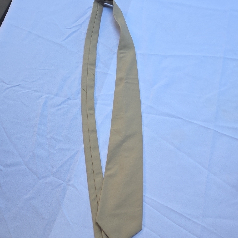 J. Crew Classic Tan Tie